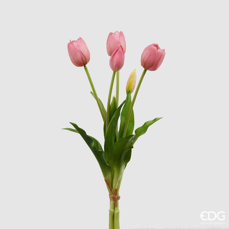 EDG - Tulipano Gomma Olis Mz5Pzh40(Chiusi) Rosa