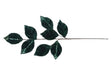 DO-HOME - Ramo Di 8 Foglie Sanseveria Con Pailettes Verde/Oro In Poliestere Effetto Velluto H.72 Cm