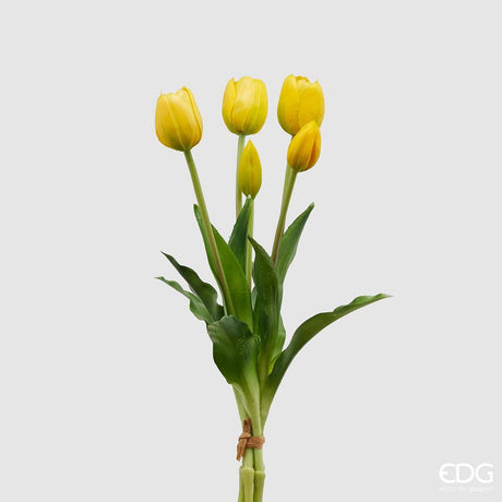 EDG - Tulipano Gomma Olis Mz5Pzh40(Close) Light Yellow
