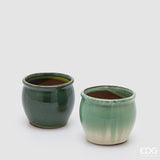 EDG - Vaso Atlas Bombato 2 Ass. H.8 D.10 C6 — Green Mix [Variante 2]