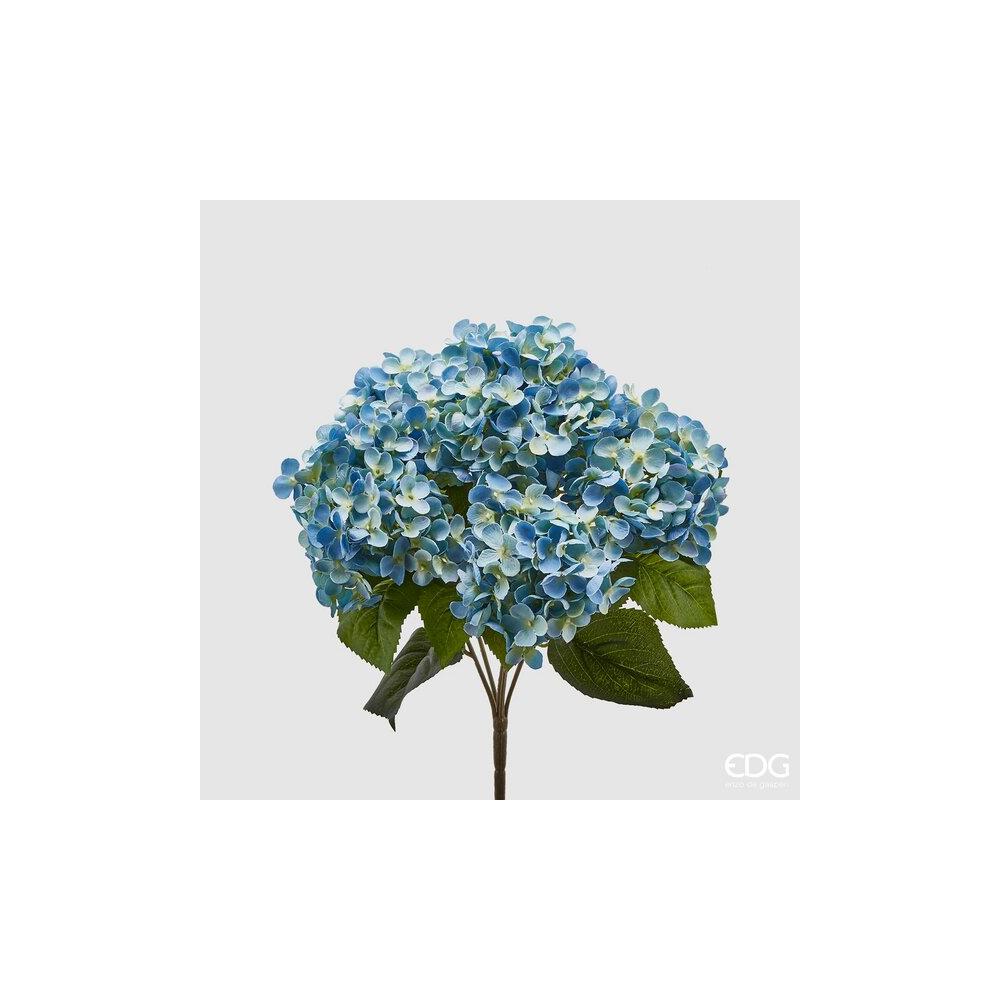 EDG - Hortensia Chic Cesp.X5 H45