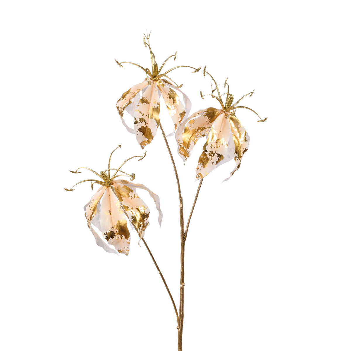 L'OCA NERA - Poesia In Petali - Fiore 1 - 83H