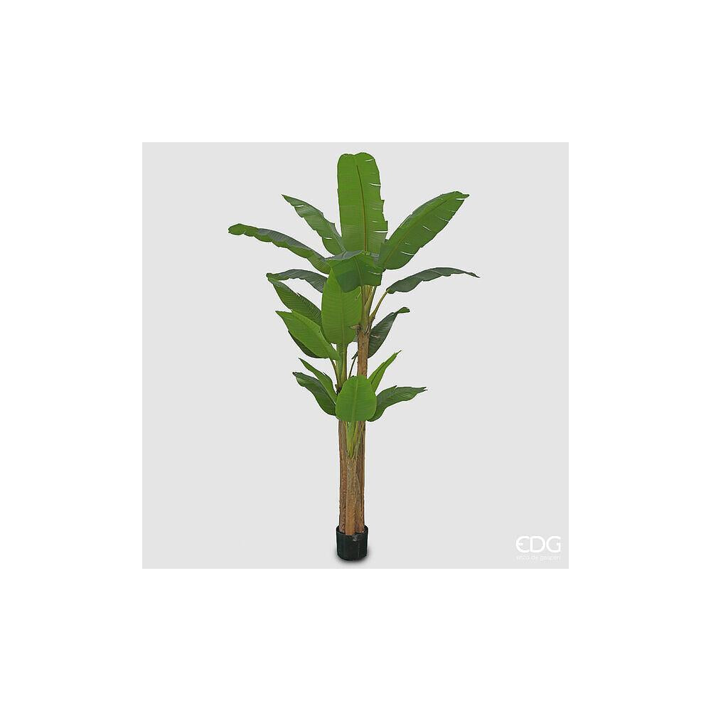 EDG - Banana Tree With Vase H.280