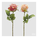2100300A554#R