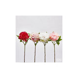 215979,150#BI