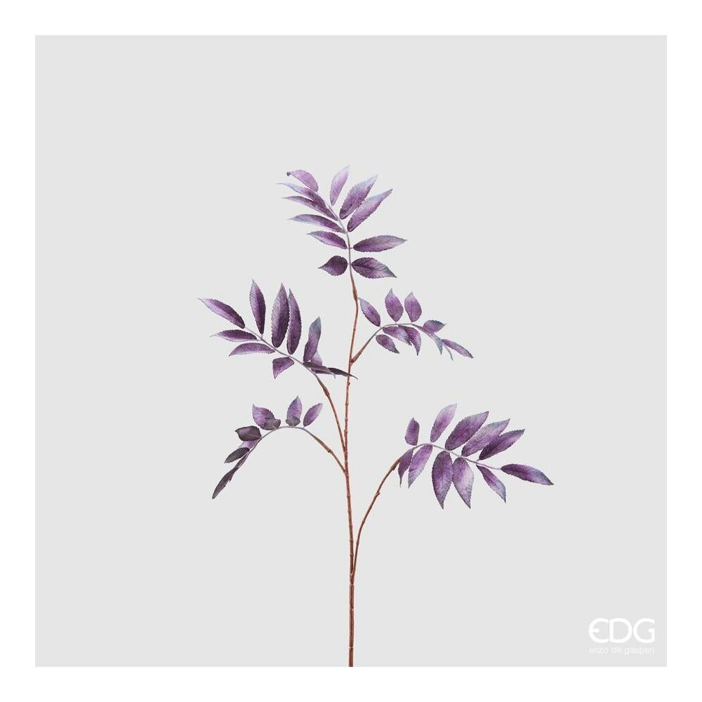 EDG - Elderberry Violet Vell. Stem-Copper H79 Cm