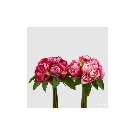 EDG - Peony Olis Mz 9 piezas con cogollos [rosa]