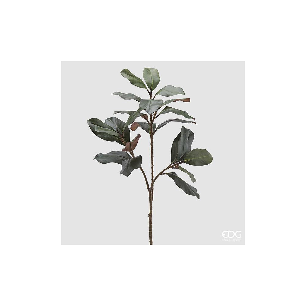 EDG - Sucursal Magnolia H.110