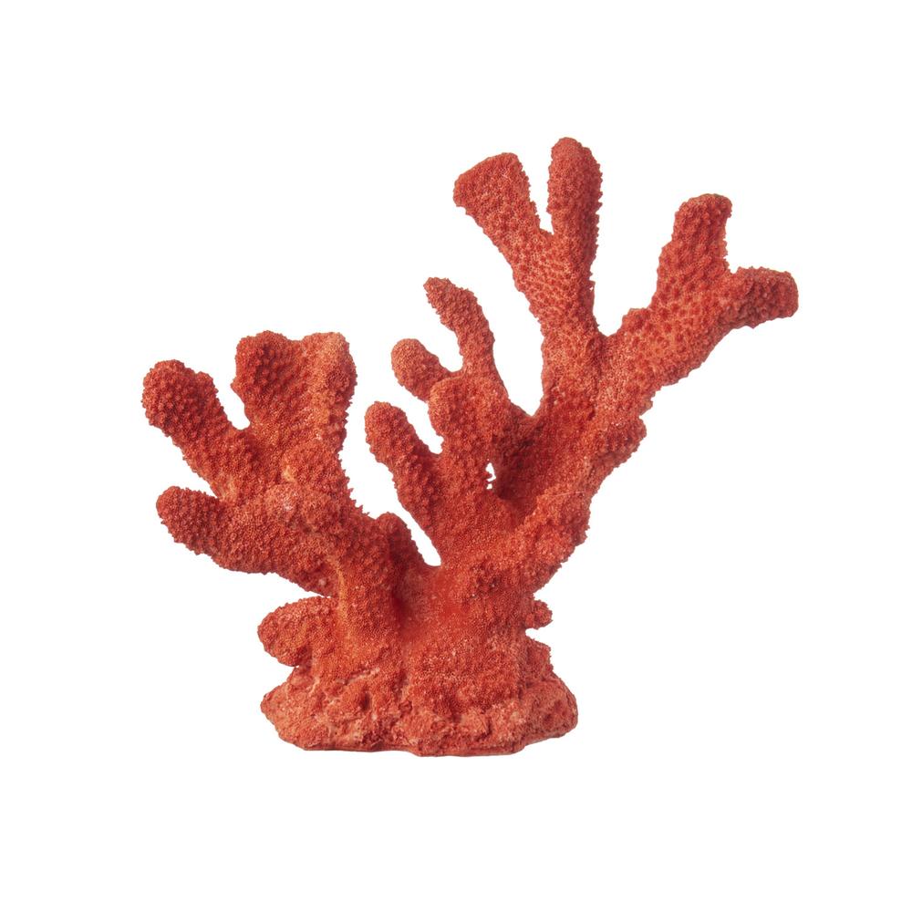 THE BLACK GOOSE - Red Coral 26X10X24H