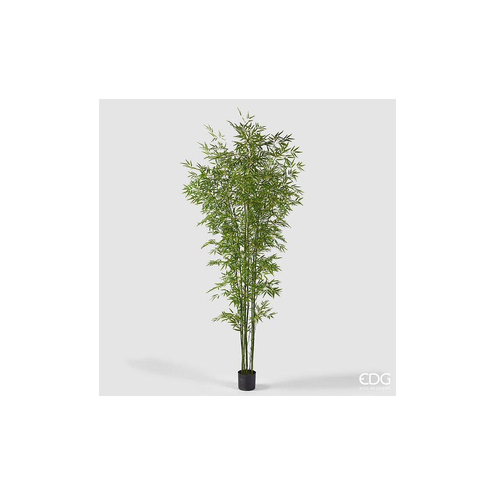 EDG - Bamboo Con Vaso H240