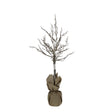 HERVIT - Albero Betulla Artif.97Cm C/70Luci Led