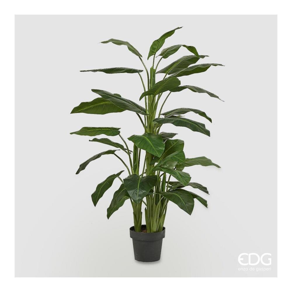 EDG - Calla Plant C/Vase H145 (36Fg)