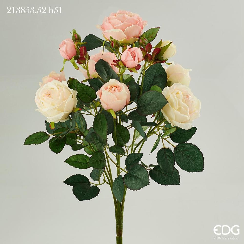 EDG - ROSAPEONIA CHIC CESP.X10 H51 15