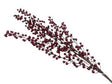 DO-HOME - Cascata Di Bacche Bordeaux In Plastica 28X8Xh.107 Cm