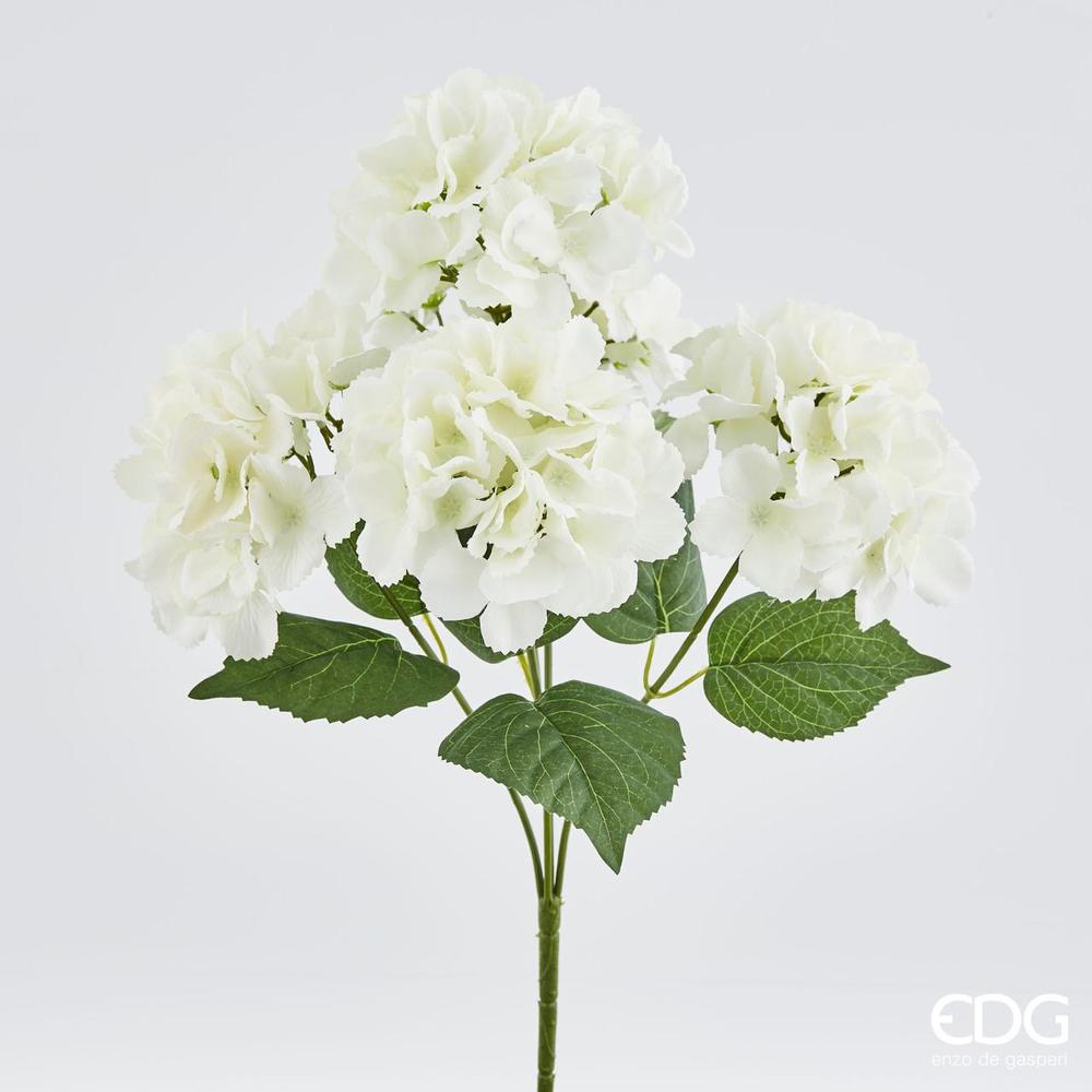 EDG - Hortensia elegante Cesp.X5 H44 ** B7