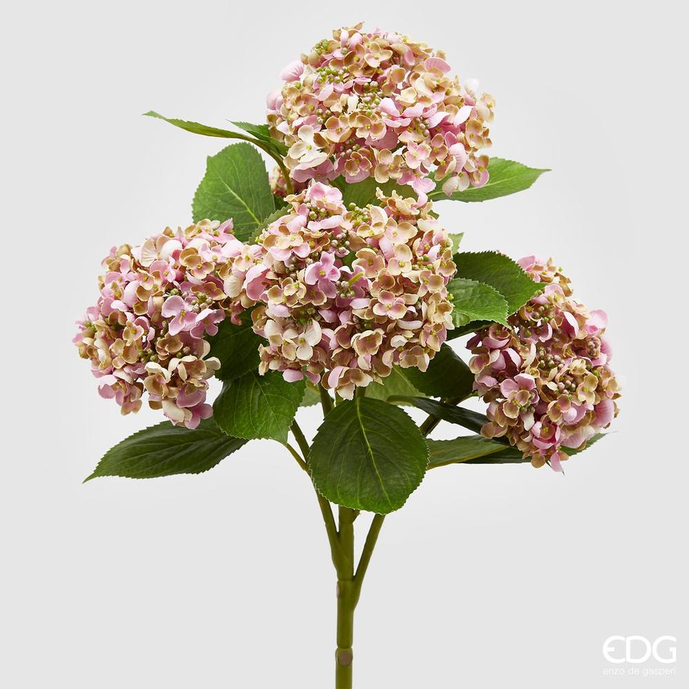 EDG - Chic Hydrangea Cesp.X5 H58 C0