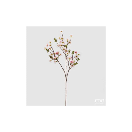 EDG - Leptostermum Branch H80