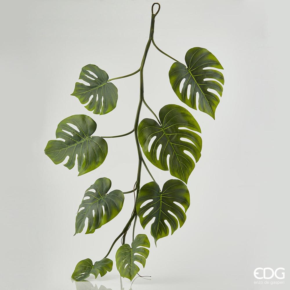 EDG - Monstera Festone L130 (8Fg) B7