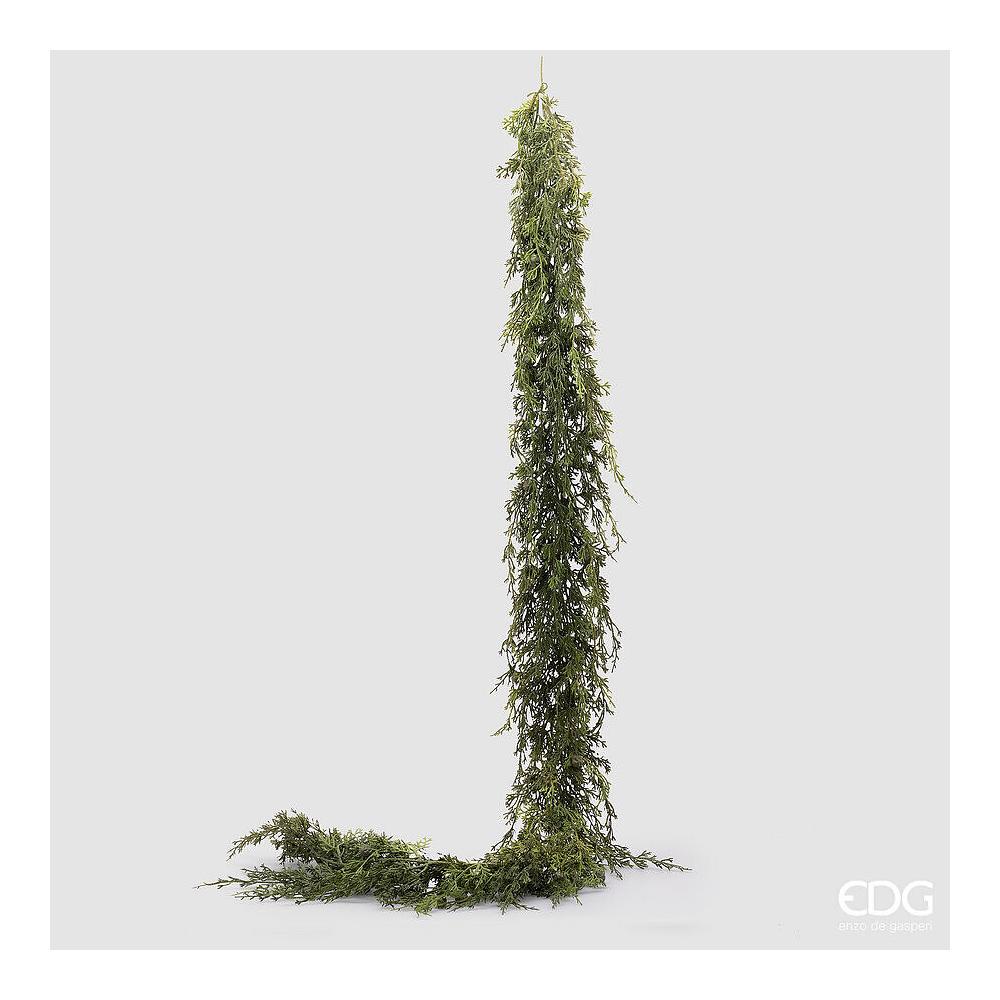 EDG - Thuja Festone Con Bacche L195 Cm