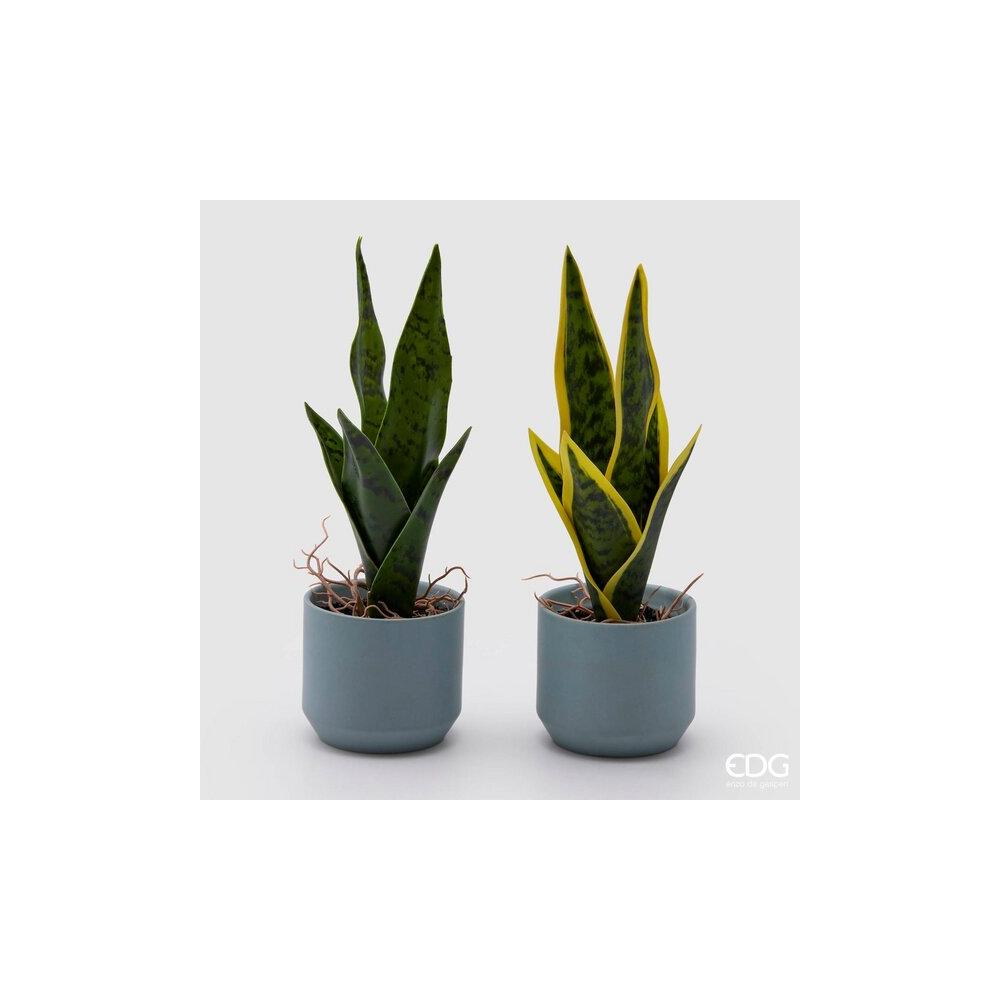 EDG - Sanseveria C/Vase H25 D9 [Green]