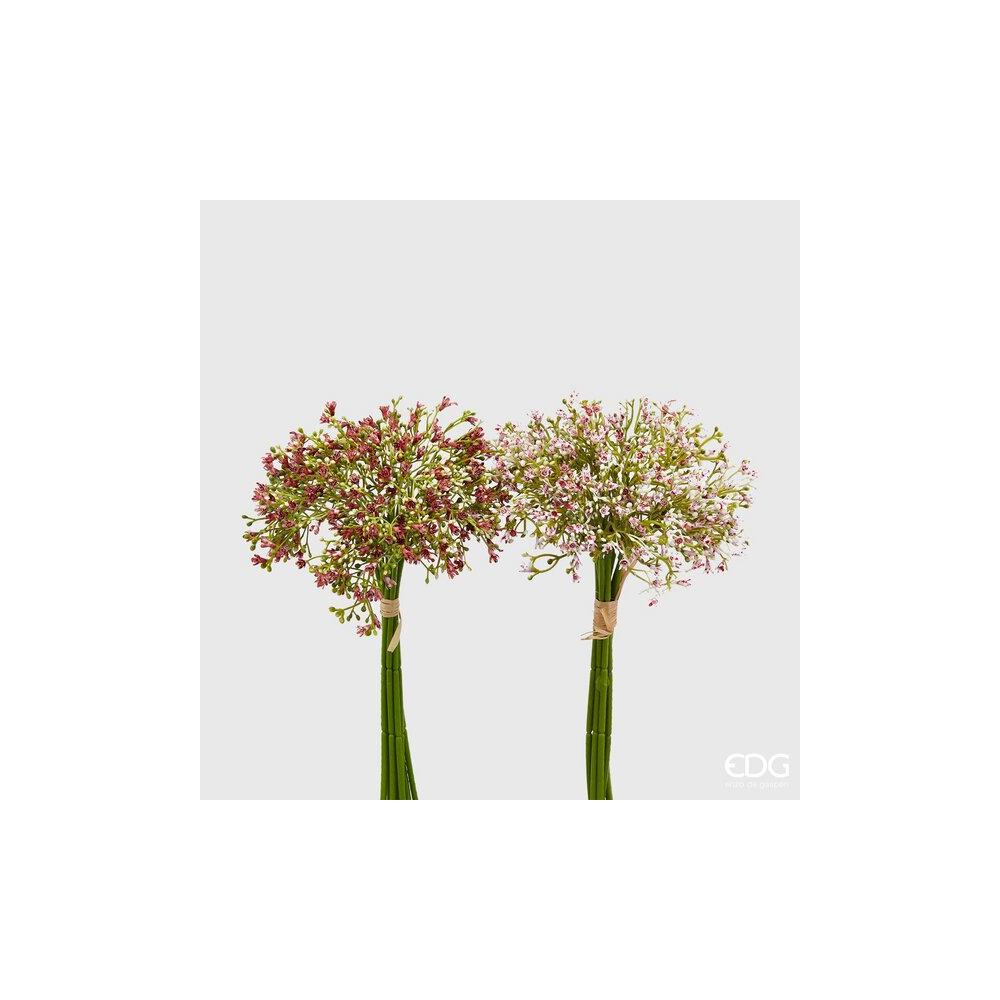 EDG - Gypsophila Chic Mz 8Pz H32 [Rosa Chiaro]