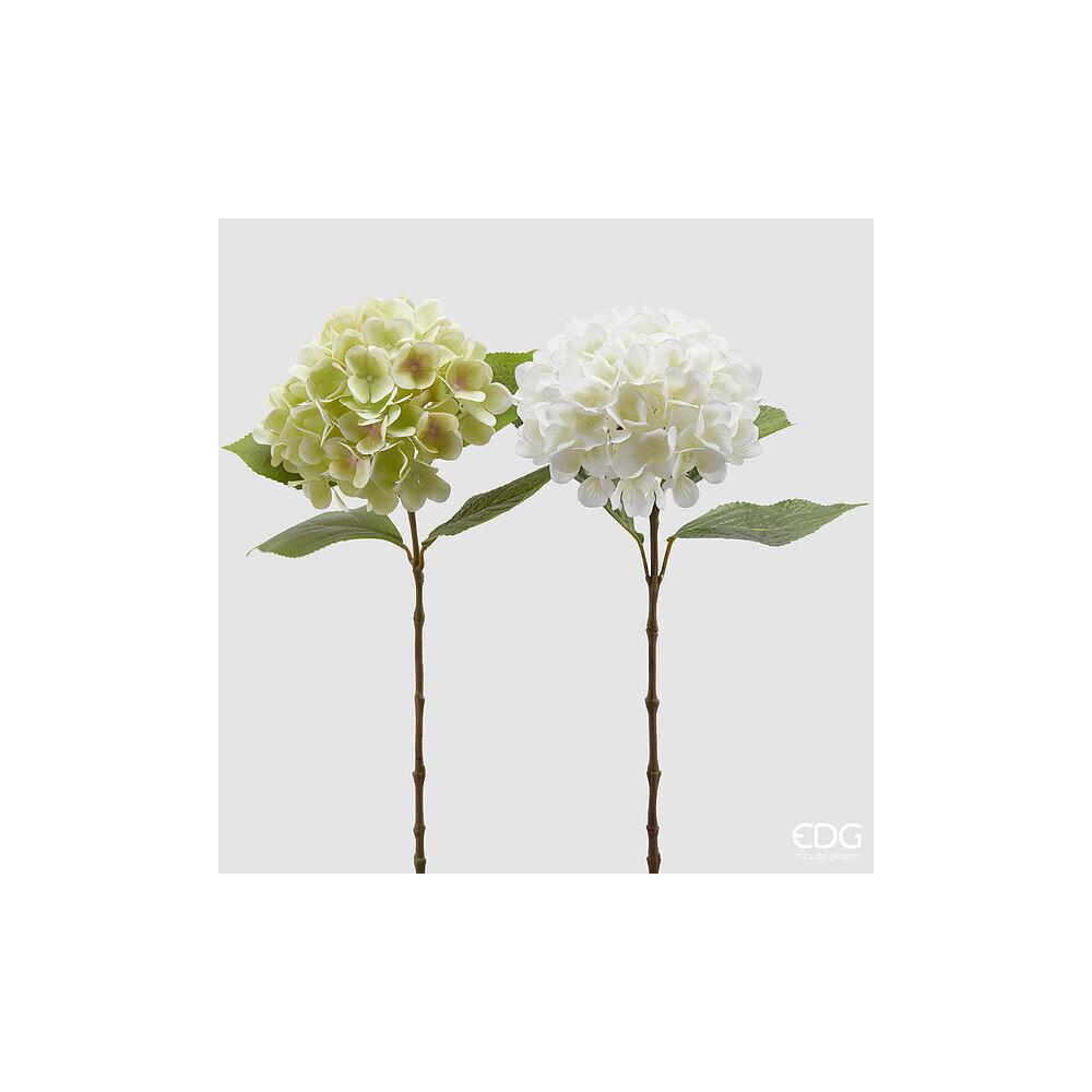 EDG - Noble Hydrangea New Branch With Leaves H.60 [White]
