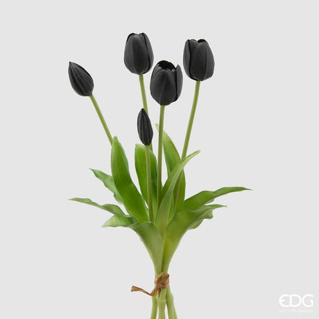 EDG - Tulipano Gomma Olis Mz5Pzh40(Closed) Black