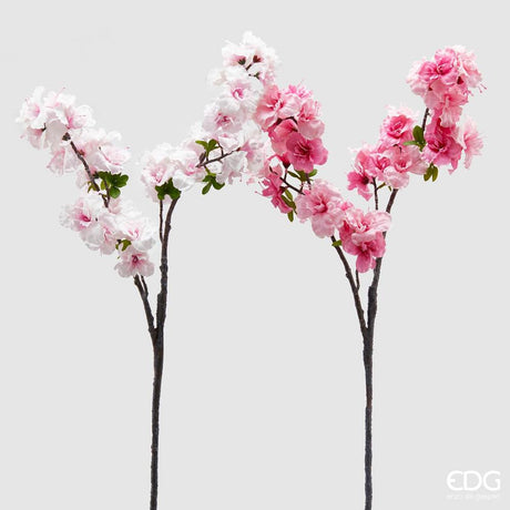 EDG - Sakura(Pesco Giapponese) H105 [Rosa]