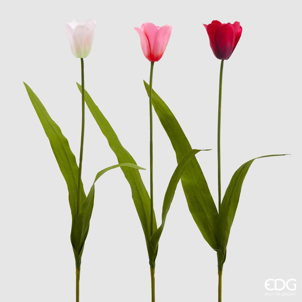 EDG - Dutch Tulip Branch H73 [Fuchsia]