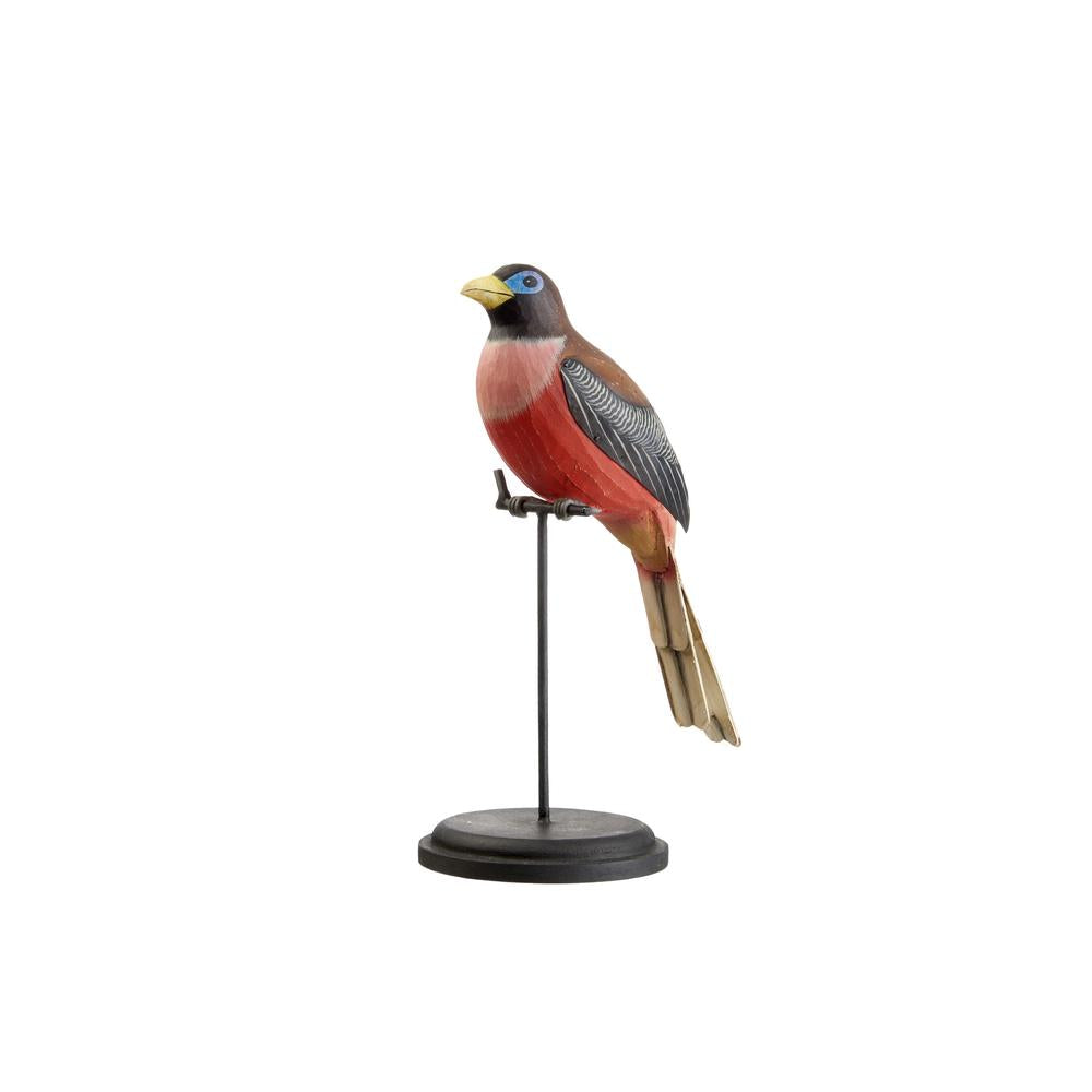 THE BLACK GOOSE - Decorative Philippine Trogon 16,5X11,5X28H