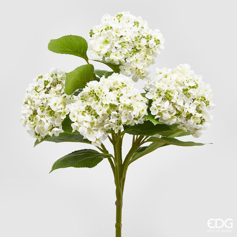 EDG - Hortensia Chic Cesp.X5 H58 C0