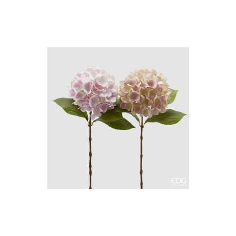 EDG - Noble Hydrangea New Branch With Leaves H.60 [Cream]