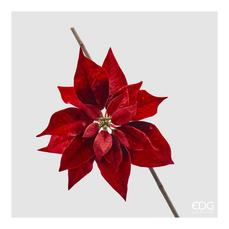 EDG - Christmas Star Head With Clip D23