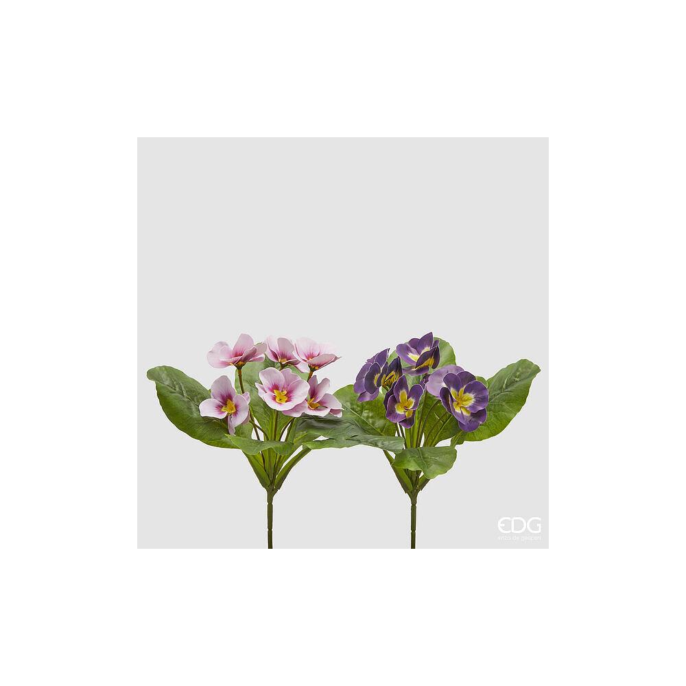EDG - Primula Olis Cesp.X6 H28 [Lilac]