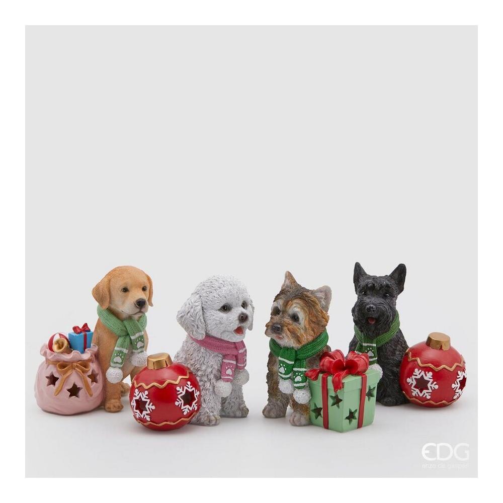 EDG - Cane Xmas Poly H14 Cm [1]