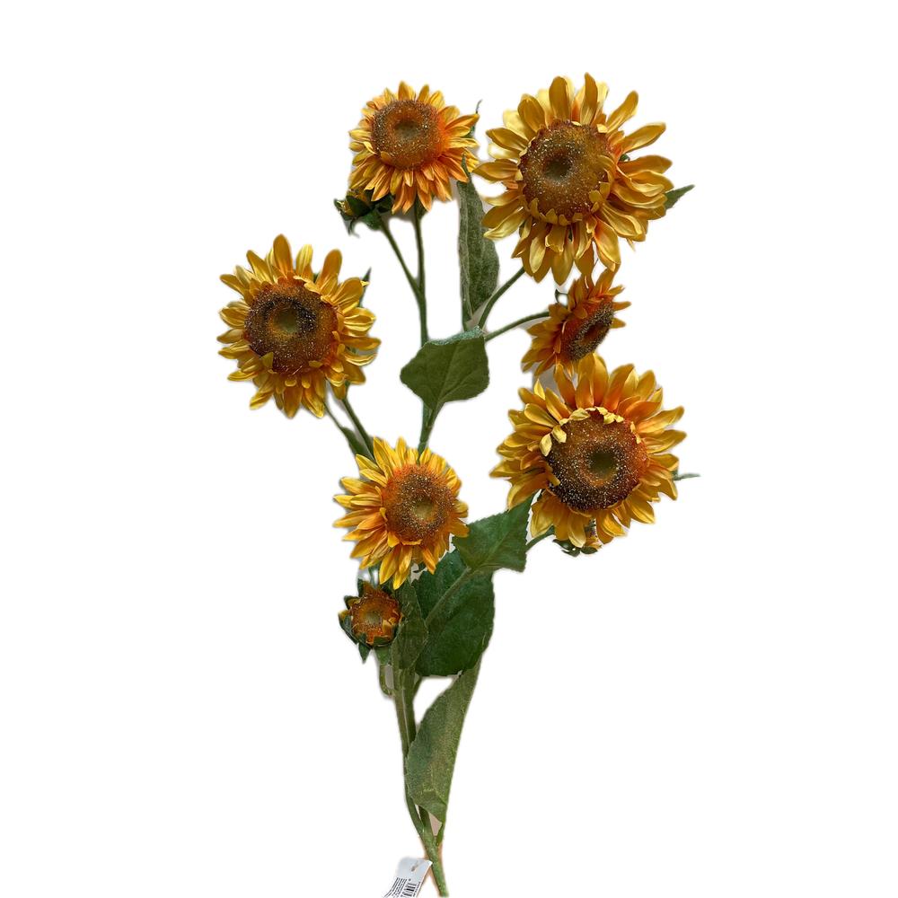 EDG - Sunflower Rex Ramox9 H130 Yellow