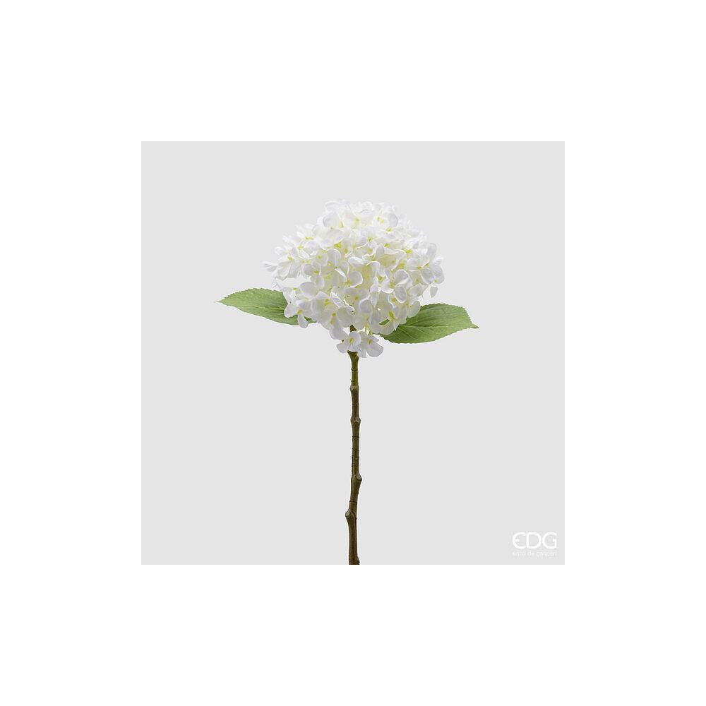 EDG - Hydrangea Branch With Leaves H.48