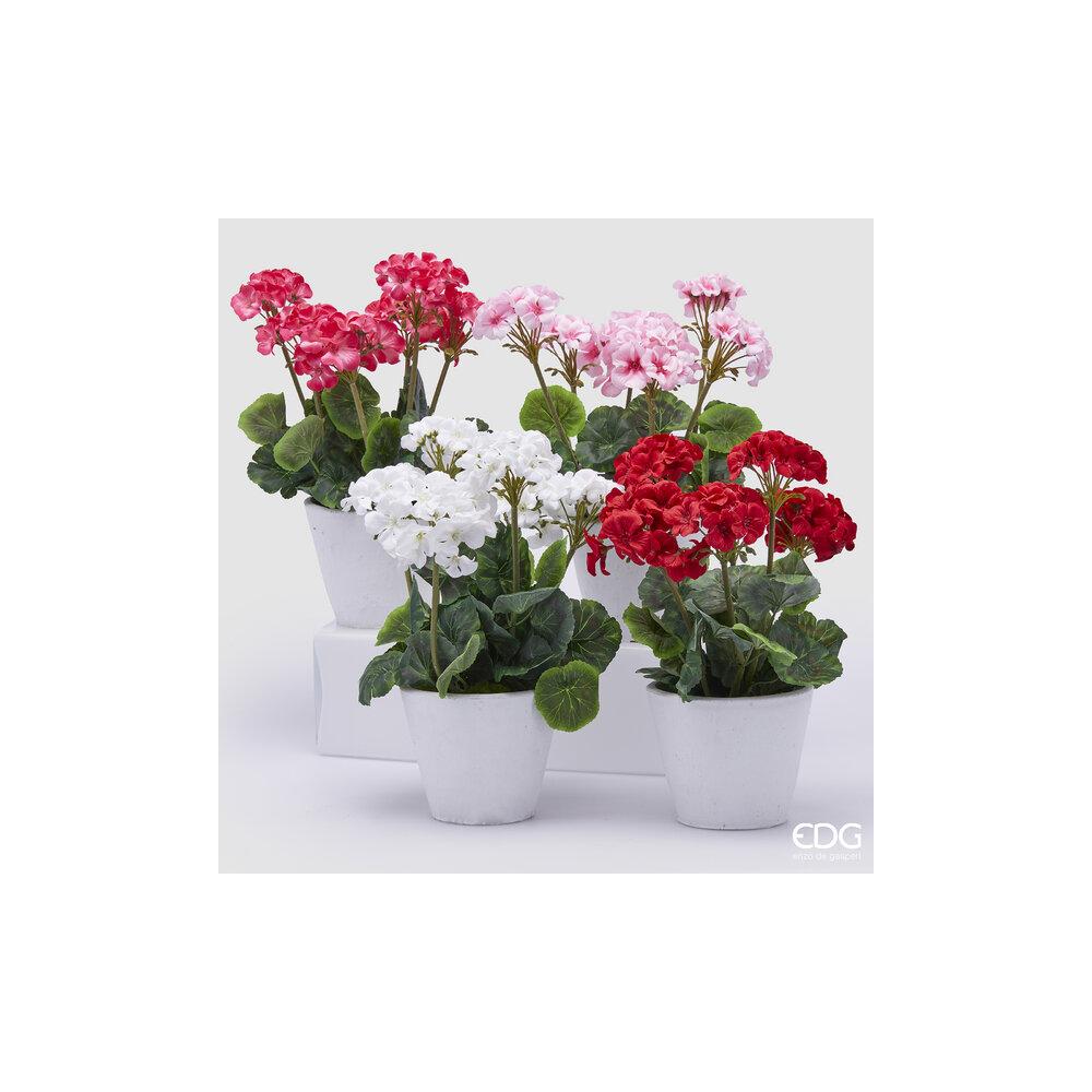 EDG - Geraneo Vase [White]