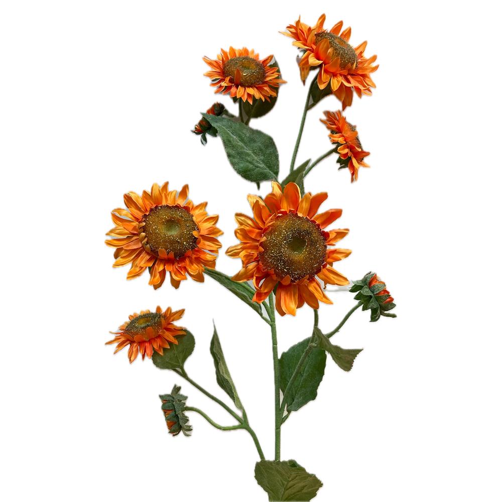 EDG - Sunflower Rex Ramox9 H130 Orange