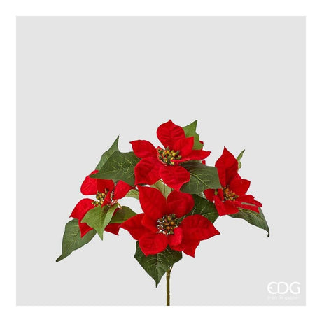 EDG - Christmas Star Real Bush X5 H30